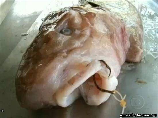 В Бразилии поймали рыбу без кожи и чешуи